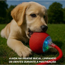 Bola Inteligente Interativa Pet – Antiestresse e Movimento Automático –  Resistente